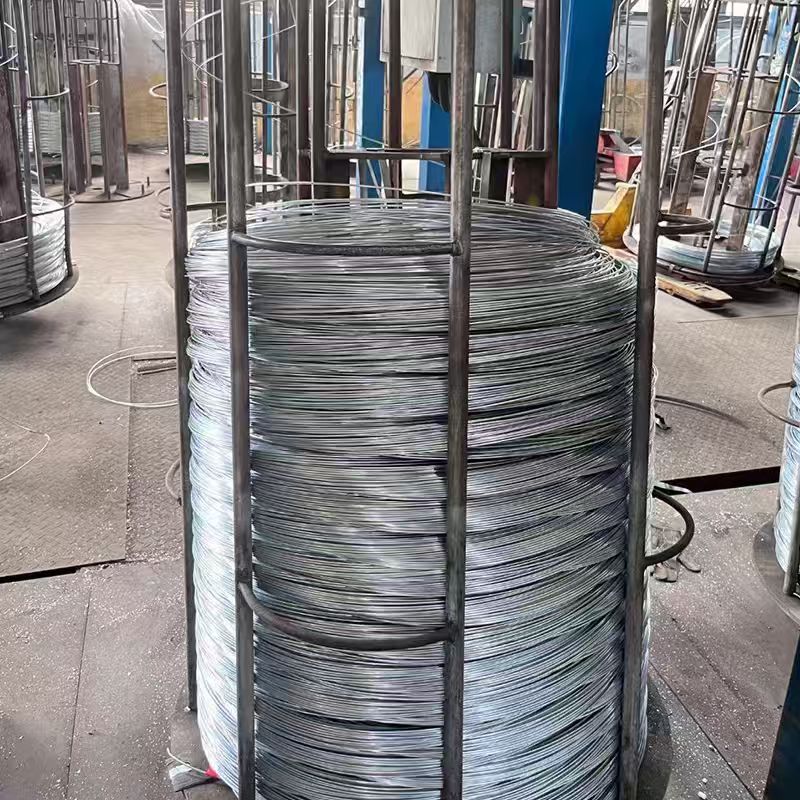 Electro Galvanized Wire