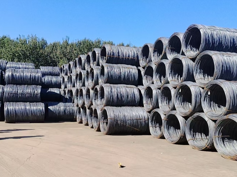 微信图片_20251020111446_513_32